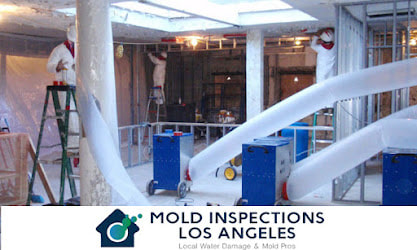 An easy understanding of mold and related problems