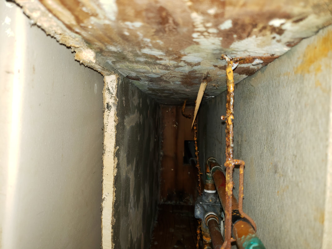 Mold Inspection Los Angele